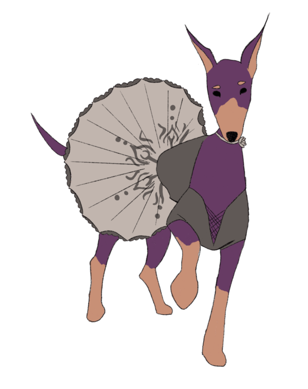 Ballerina dobermann