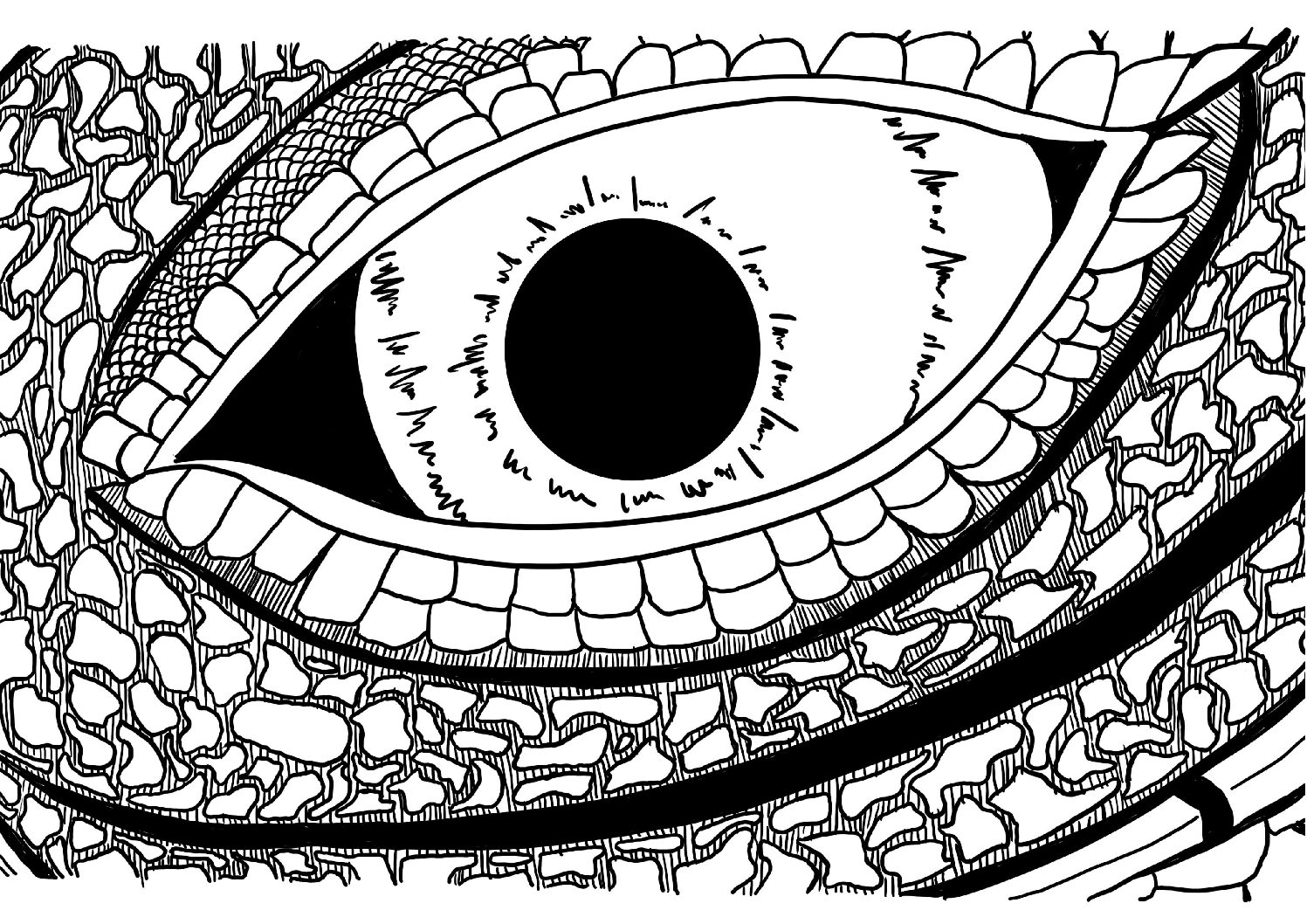 Het oog van de iguana